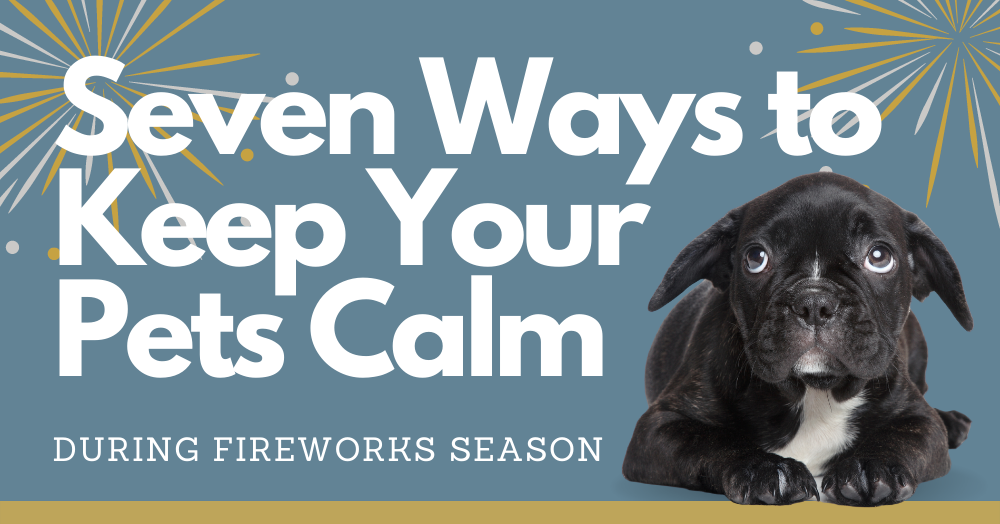 Copy of 0511 Seven Ways to Keep Your Pets Calm During Fireworks Season