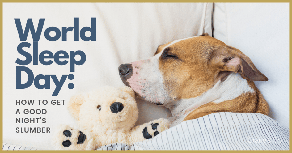 World Sleep Day How to Get a Good Night’s Slumber